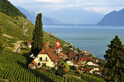 terraced vineyards on a hillside overlooking Lake Geneva