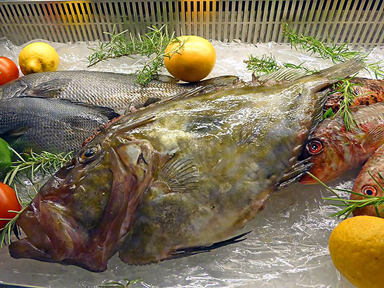 display of fish at the Veli Zal restaurant