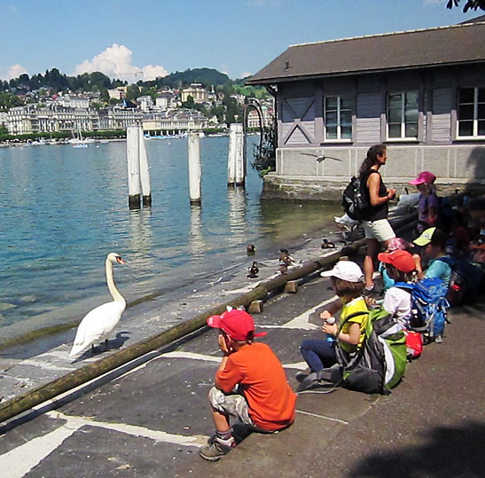 children waiting for the boat to Weggis with a swan, Lake Lucerne