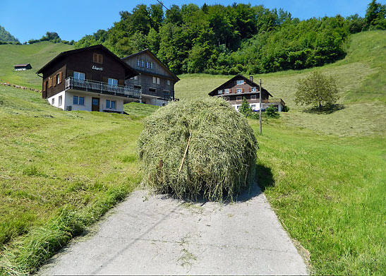 collected hay on a pavement