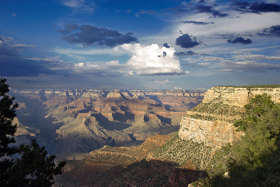 the Grand Canyon viewed from the South Rim