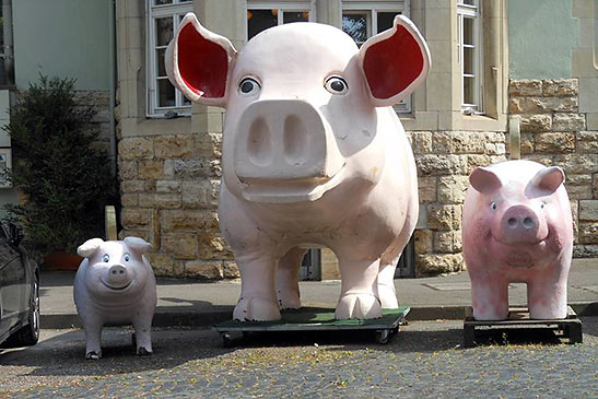 pigs in front of the Pig Museum