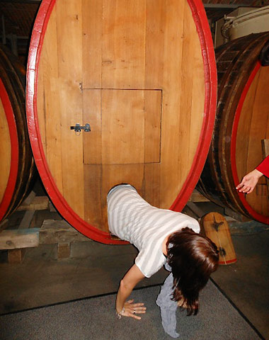 visitor demonstrating how champagne casks are cleaned