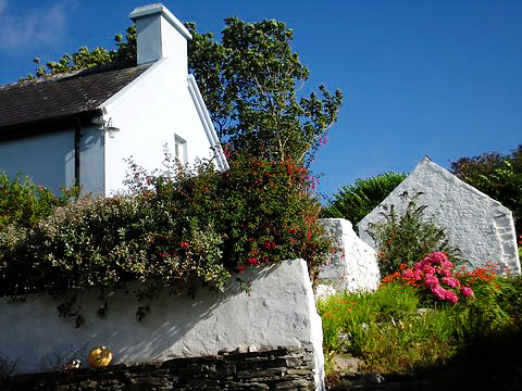 Irish cottage and garden by the sea