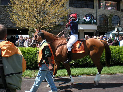 horse and rider preparing for a race at Keeneland