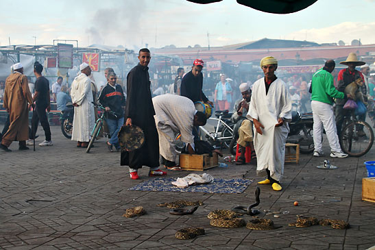snake charmer at Djemaa el-Fna square in Marrakech