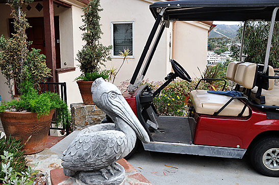 one of Catalina's 1500 golf carts