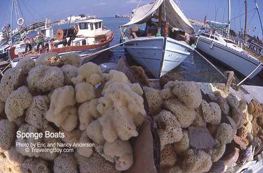 freshly harvested sponges with boats in the background