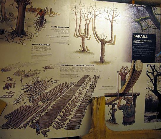 museum drawing of the oak harvesting and shaping