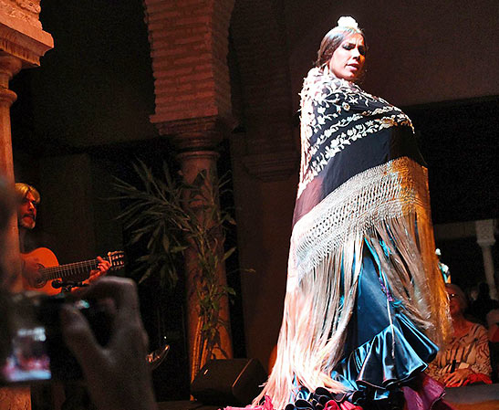 a dancer at the Flamenco Dance Museum in Seville