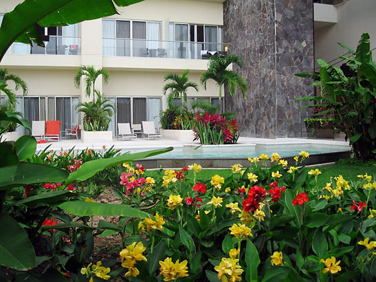 garden by the pool at Secrets Vallarta Bay
