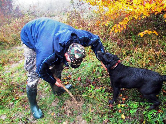 truffle hunter with his dog demonstrating the art of truffle-hunting at an Istrian hill town
