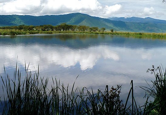 Lake Manyara