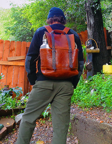Bison Redwood Backpack