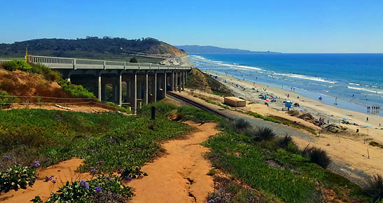 trail lined with coastal plants with a bridge in the background along a beach in Del Mar