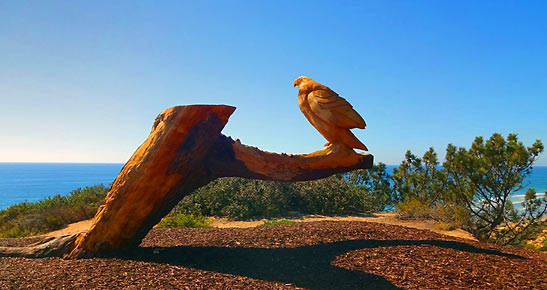 wooden eagle carved from a tree on a Del Mar beach trail