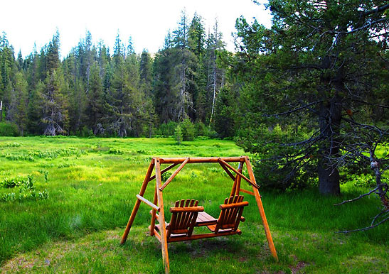 a meadow at Lassen Volcanic National Park