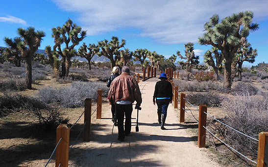 Prime Desert Woodland Preserve