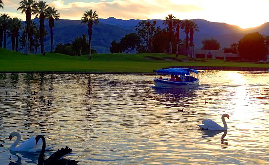 sunset at the lake of JW Marriott Desert Spring Resort and Spa