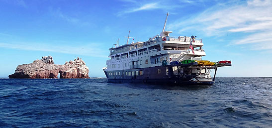 the 230-ft-long Safari Endeavor at the Sea of Cortez
