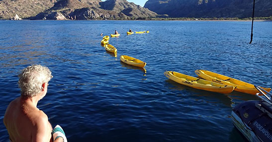 a line of kayaks from the Safari Endeavor