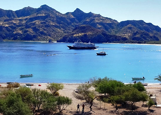 the Safari Endeavor anchored off a beach at the Sea of Cortez