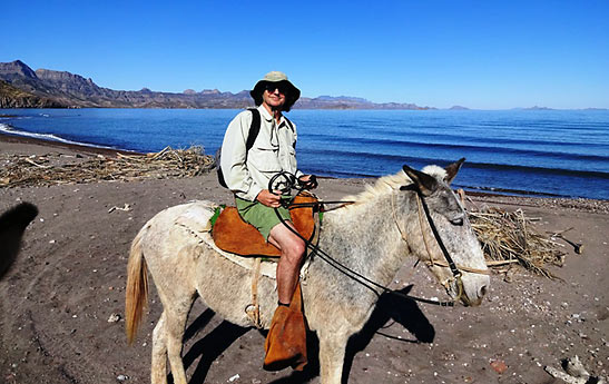 the writer on a burro while touring a deserted beach at Baja California