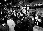 Birdland on opening night