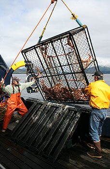 Aleutian Ballad crew hauling up a crab catch