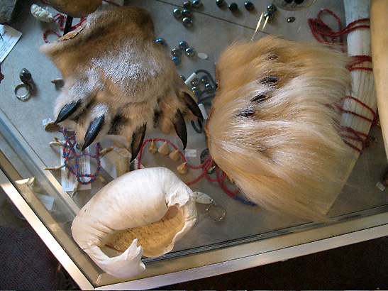 seal and polar bear claws with whale eardrum bone at Indian Village Artists, Sitka