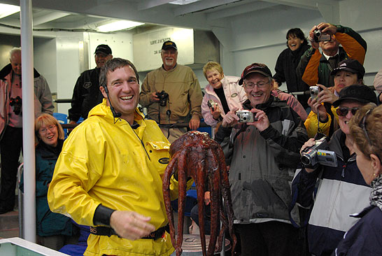 displaying octopus to tourists