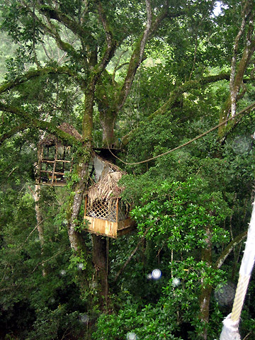 zip line above jungle canopy