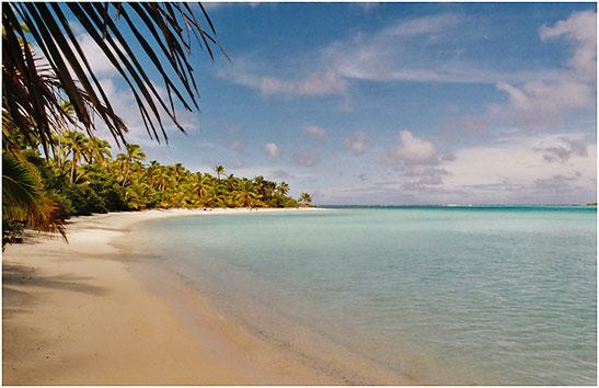 palm-lined white sand beach at Aitutaki