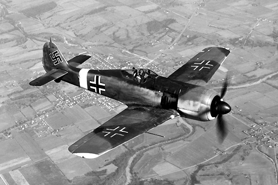 FW 190 fighter
