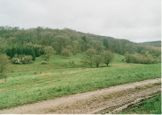 present-day view of field near Chatel-Chehery where Sgt. York fought and won the Medal of Honor
