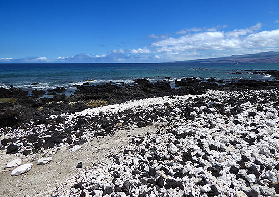 beach at the Fairmont Orchid resort