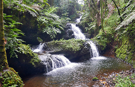 waterfall at the Hawaii Tropical Botanical Gardens, Hilo