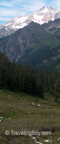 view of Glacier Peak from the south