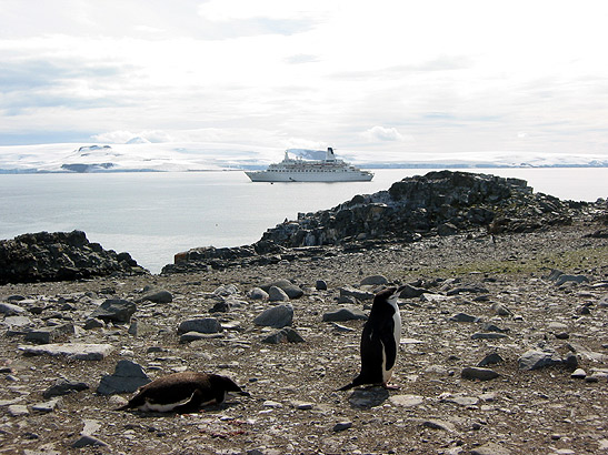 the MV Discovery cruising the Arctic