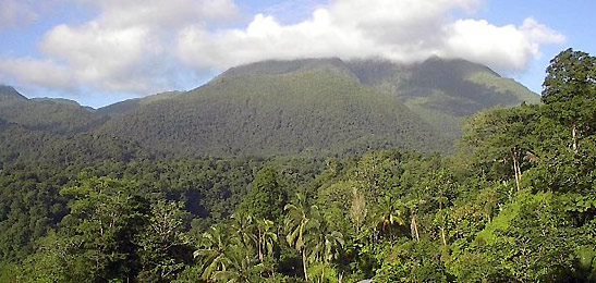 rainforest and mountain on Dominica