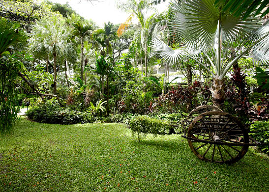 lush garden at the Anantara