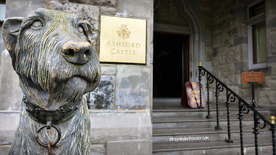 Irish Wolfhound statue at the entrance to Ashford CAstle