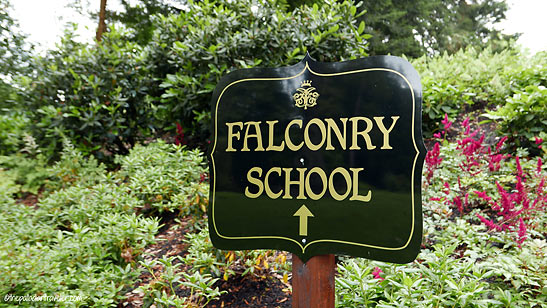 Falconry School sign