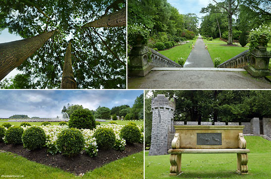 the Ashford Castle grounds