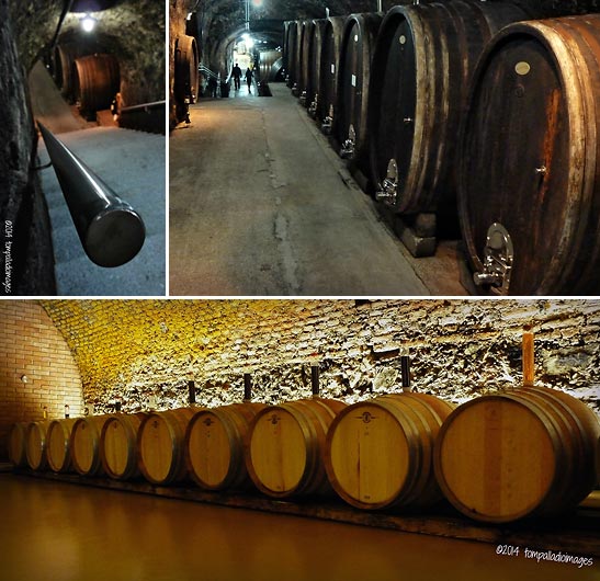 wine cellar of the Domane Wachau Cellar Castle