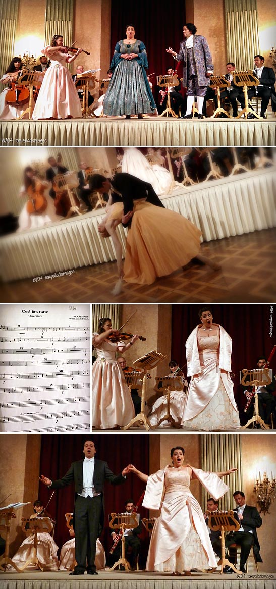 the Vienna Residence Orchestra and two opera singers performing at the Auersperg Palace