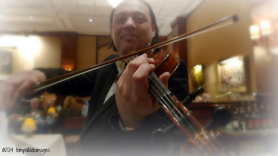 violinist at world-renowned restaurant Gundel's