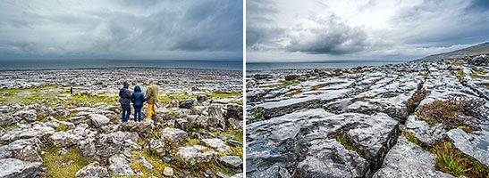 more views of landscape near Black Head