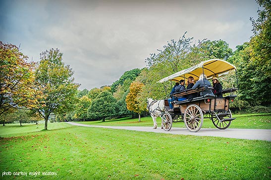 carriage makes it way across Kilalrney National Park