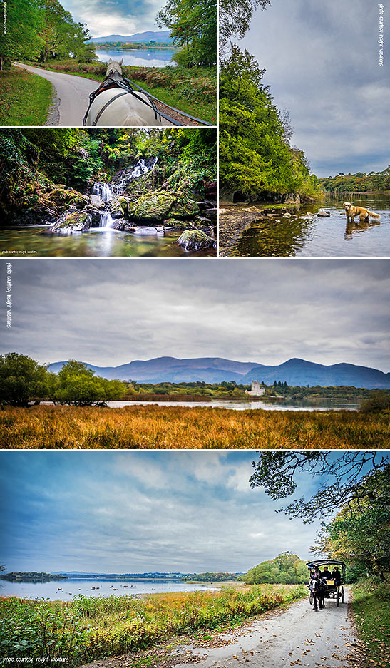 various scenes at Killarney National Park